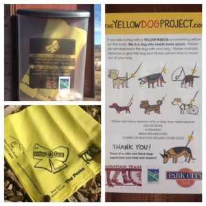 yellow dog project